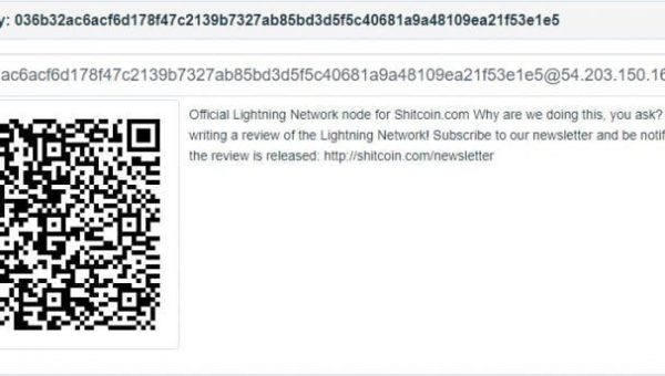 One Single Node Owned By Andreas Brekken Occupies 49% Of The Bitcoin (BTC) Lightning Node Network