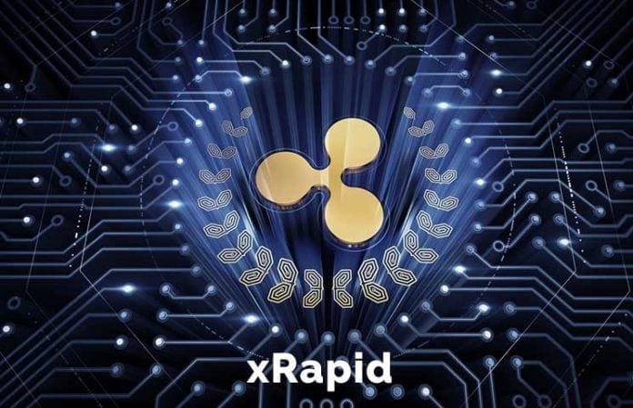 Can Ripple’s XRP-Powered xRapid Succeed In The Volatile Market? Head Of Product Addresses The Volatility Issue