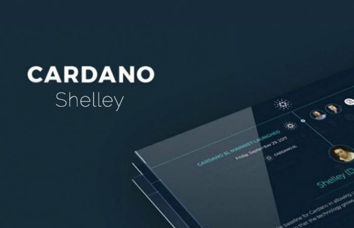 Cardano Effect Podcast Answers Some Important Questions About ADA and Shelley