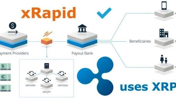 Ripple Vs. Bitcoin: Brad Garlinghouse Says XRP Is 1,000 Times Faster And Cheaper Than BTC