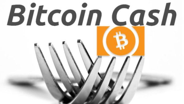 Bitcoin Cash (BCH) Price Skyrocketed By 15% Ahead Of The Scheduled Hard Fork