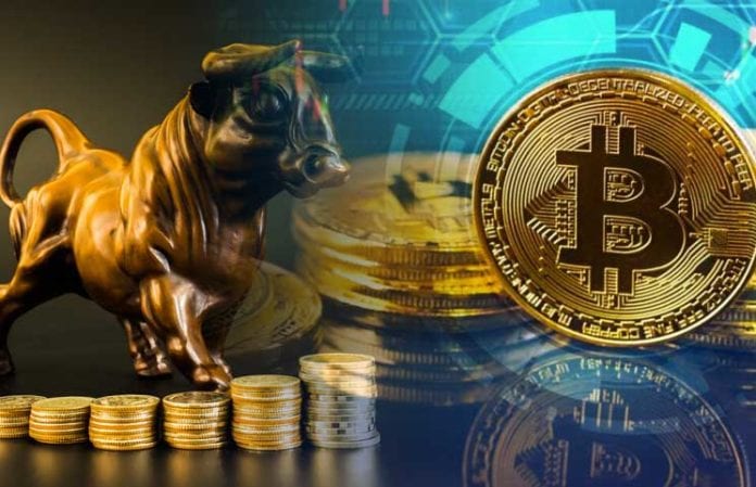 Bitcoin (BTC) Price May Surge Ten Times – Invest At Least 1% Of Your Portfolio In BTC