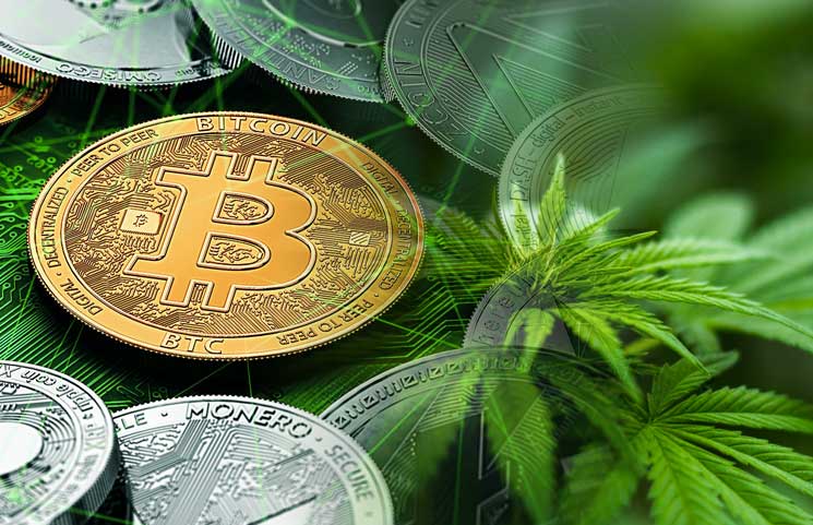 Bitcoin And Cannabis: Cannabis-Backed Crypto Is Launched