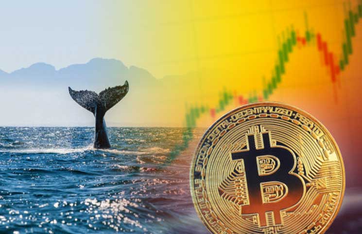 Huge Bitcoin And Crypto Sell-Off: Potential Reason Is Debated