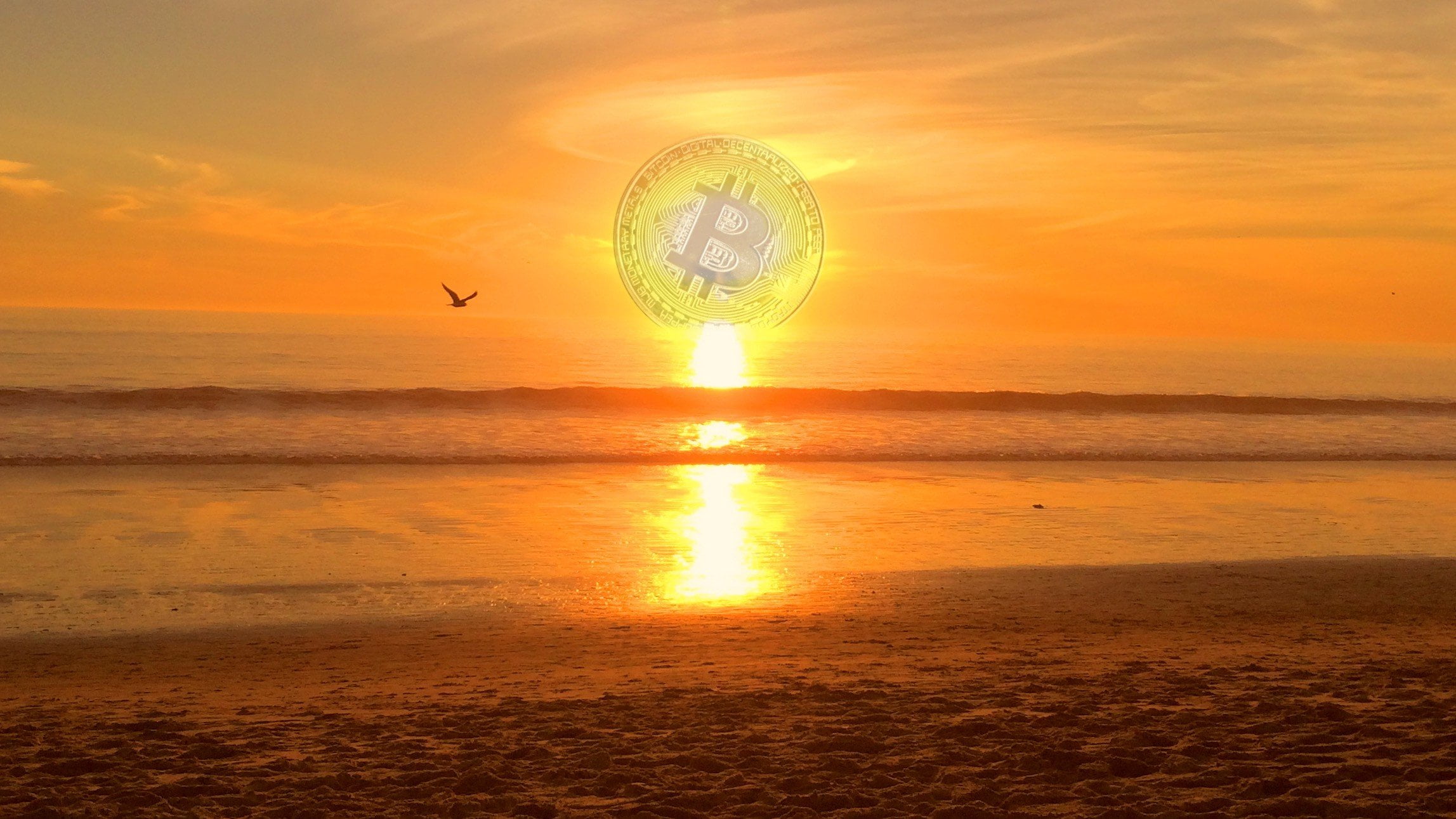 New Bitcoin Prediction: 12-Month BTC Trajectory – This Will Drive People Into Crypto