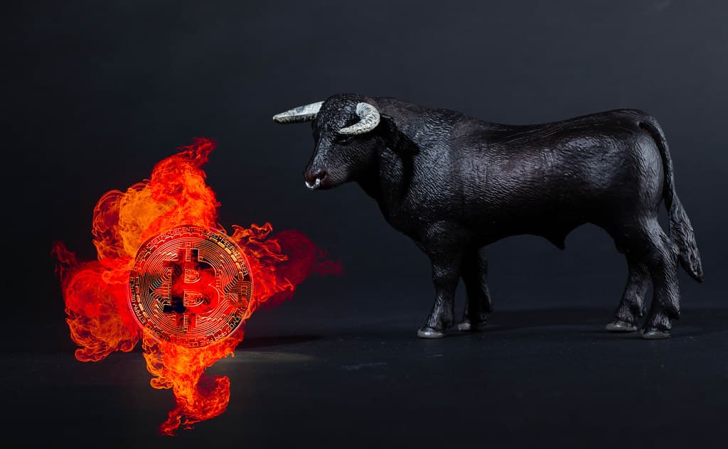 Bitcoin Bullish Prediction: BTC Will Hit $24,000 In Six Months 