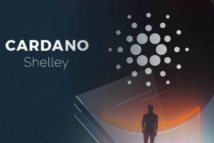 Cardano Update: Daedalus, Shelley And More