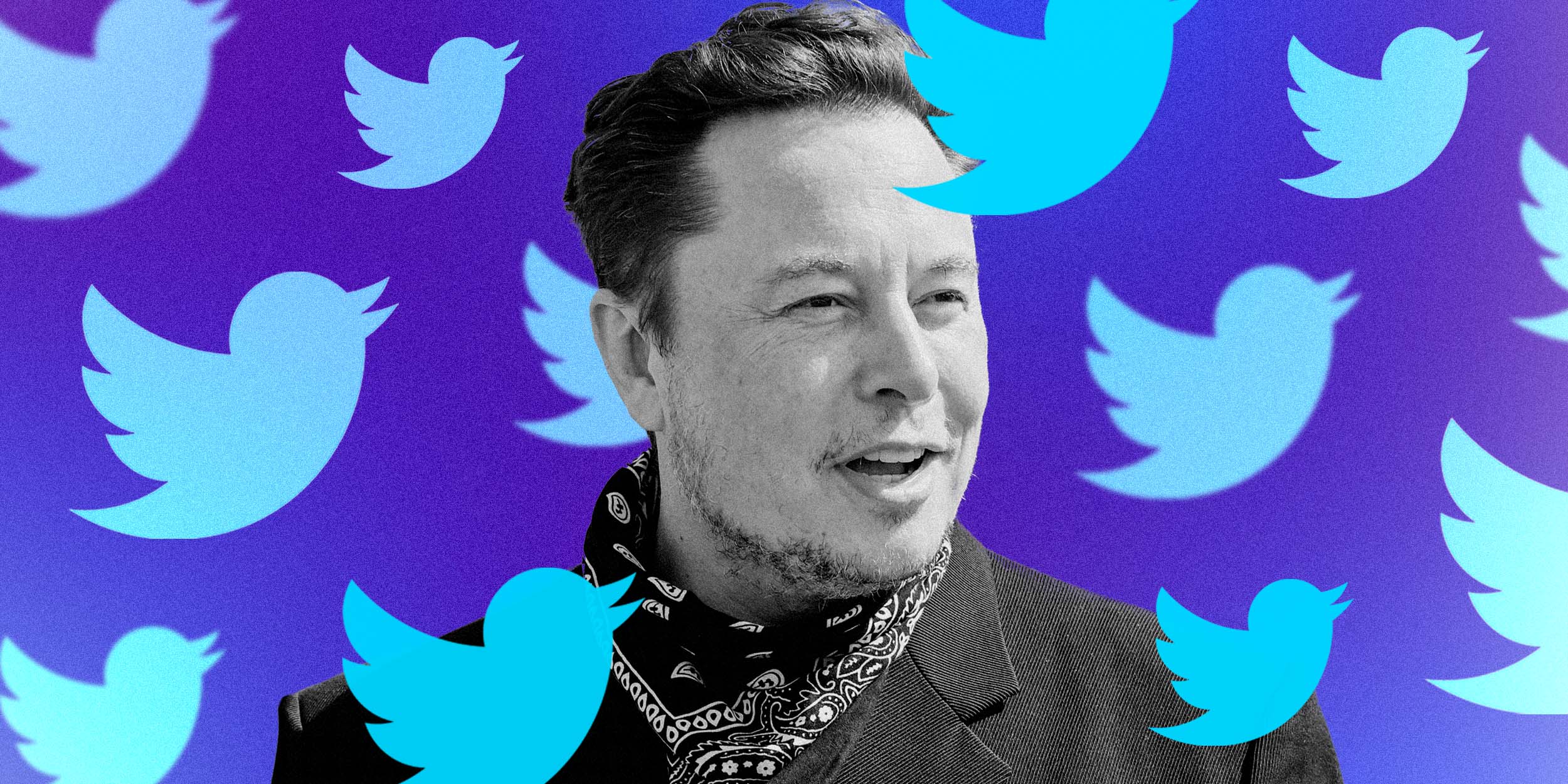 Elon Musk Is Appointed To Twitter Board