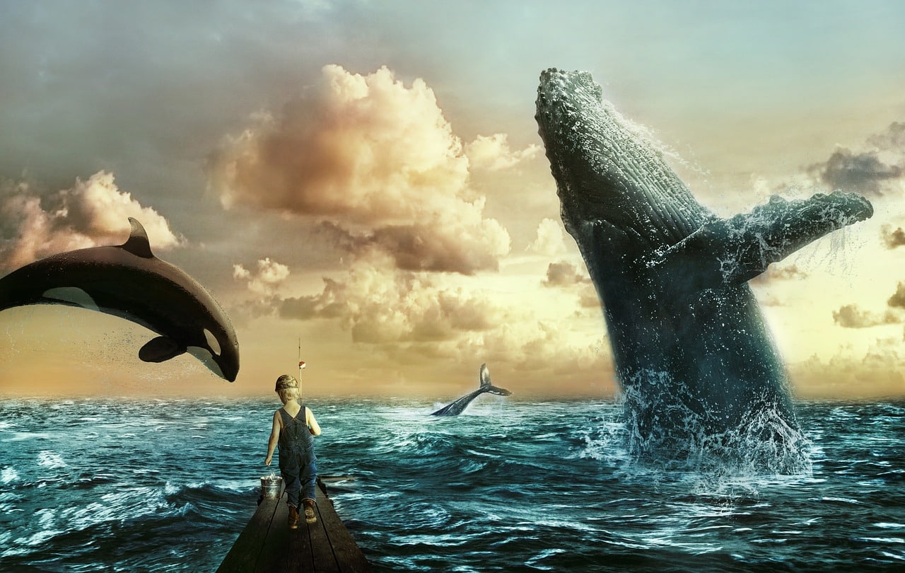 Glassnode Reveals Bitcoin Whales ‘Aggressively’ Accumulating BTC