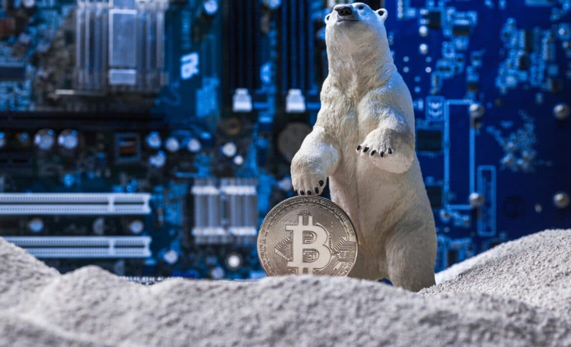 Crypto Bear Market Ending Time Is Revealed