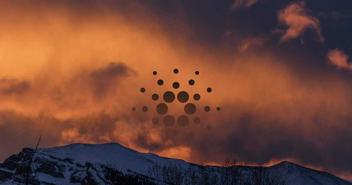 Core Focus Communities For The Cardano Foundation