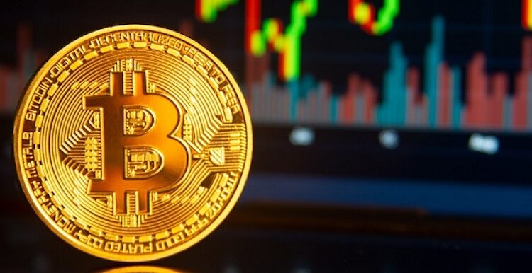 Bitcoin Will Go ‘Absolutely Ballistic’ in 2024, Economist Says