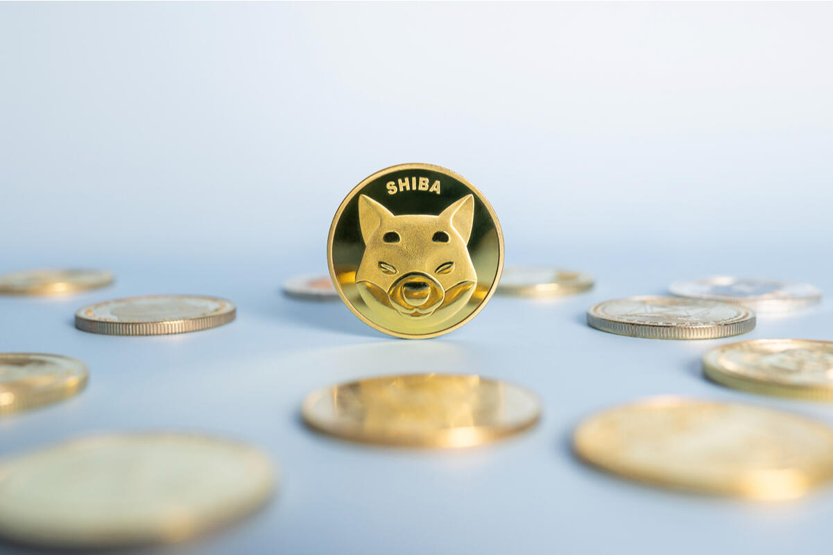 Shiba Inu (SHIB) Developer Checks Dogecoin (DOGE) Rival, And Warns Against Scammers