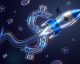 SpaceX IPO Reshapes Market Landscape as Musk Becomes First Trillionaire