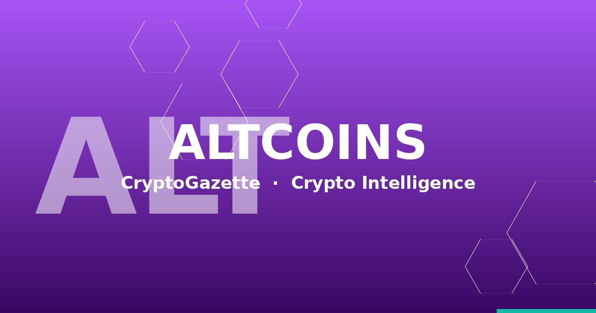 DDoS Attack Hits CoinExchange on Saturday