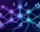 Solana’s On-Chain Metrics Hit New Highs as SOL Price Lags: Is This the Deepest Undervaluation of 2026?